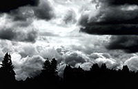 Clouds and trees in black and white.